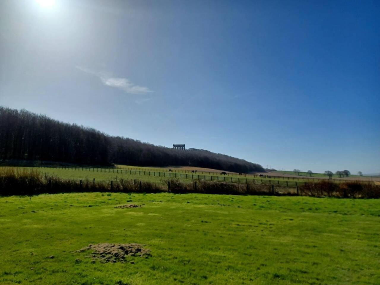 Unique Countryside Cottage Close To Sunderland Houghton-le-Spring Exteriör bild